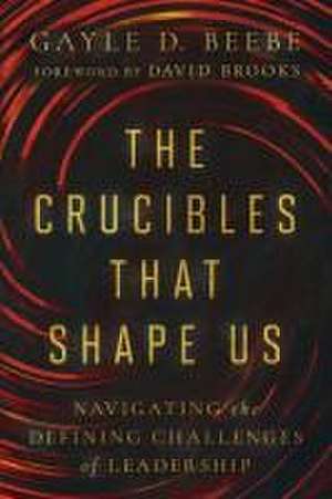 The Crucibles That Shape Us de Gayle D Beebe