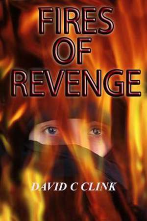 Fires of Revenge de MR David C. Clink