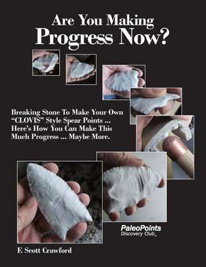 Are You Making Progress Now? de F. Scott Crawford