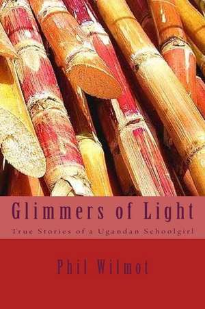 Glimmers of Light de Phil Wilmot