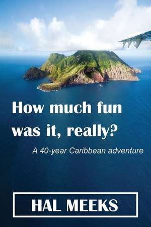 How Much Fun Was It, Really? de Hal Meeks