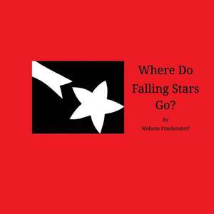 Where Do Falling Stars Go? de Melanie Friedersdorf