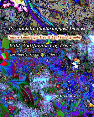 Psychodelic Photoshopped Images Nature Landscape Tree & Leaf Photography de Grace Divine