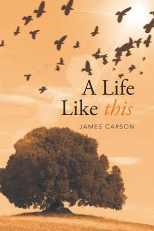 A Life Like This de James Carson