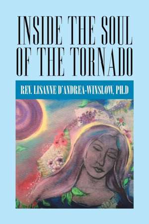 Inside the Soul of the Tornado de D'Andrea-Winslow