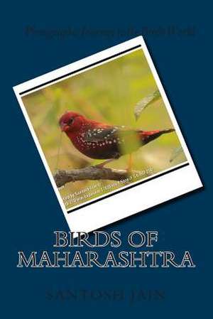 Birds of Maharashtra de MR Santosh Jain