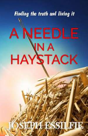 A Needle in a Haystack de Joseph Essilfie