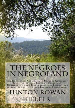 The Negroes in Negroland de Hinton Rowan Helper