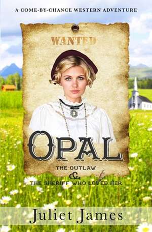 Opal Come by Chance Mail Order Brides de Juliet James