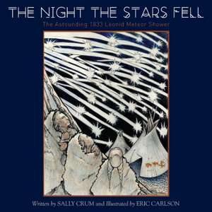 The Night the Stars Fell de Sally Crum