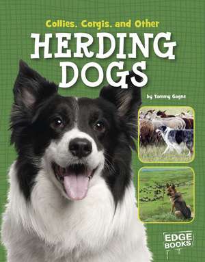 Collies, Corgies, and Other Herding Dogs de Tammy Gagne