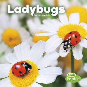 Ladybugs de Lisa J. Amstutz