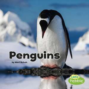 Penguins de Mari Schuh