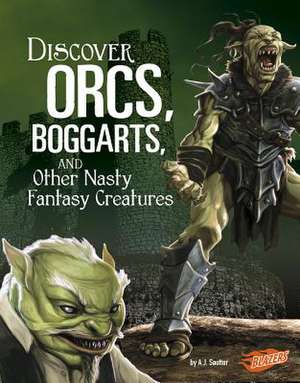 Discover Orcs, Boggarts, and Other Nasty Fantasy Creatures de A. J. Sautter