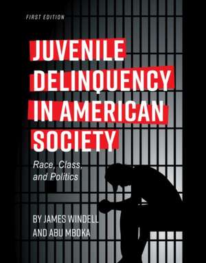 Juvenile Delinquency in American Society de James Windell