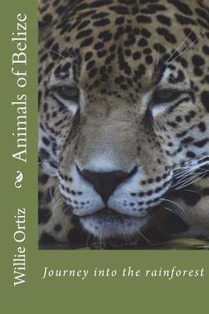 Animals of Belize