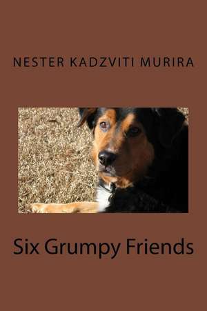 Six Grumpy Friends de Nester Kadzviti Murira