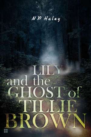 Lily and the Ghost of Tillie Brown de Np Haley