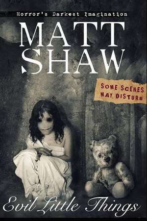 Evil Little Things de Matt Shaw