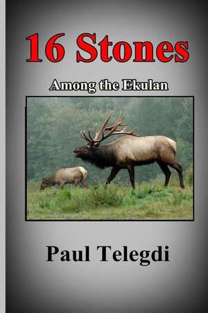 16 Stones de Paul Telegdi