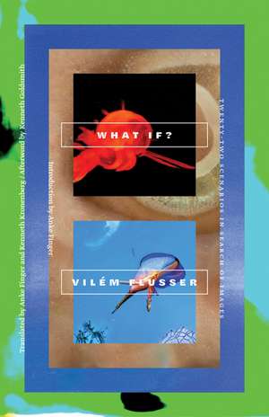 What If?: Twenty-Two Scenarios in Search of Images de Vilém Flusser