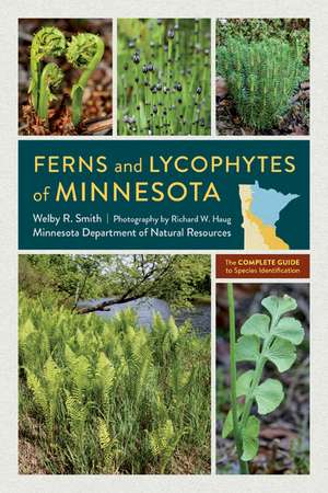 Ferns and Lycophytes of Minnesota: The Complete Guide to Species Identification de Welby R. Smith