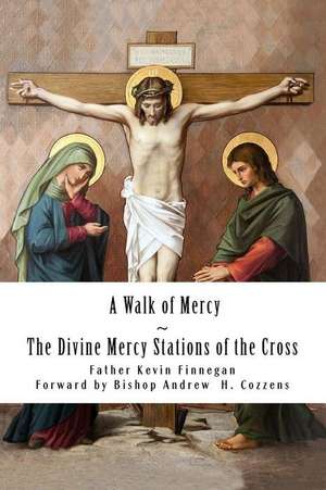 A Walk of Mercy de Finnegan, Fr Kevin