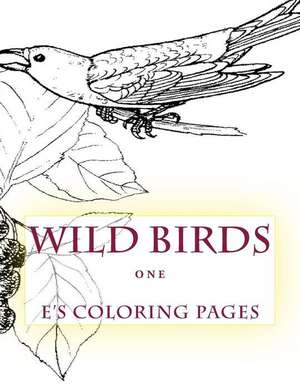 Wild Birds One de E's Coloring Pages