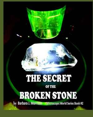 The Secret of the Broken Stone: The Microscopic World Series Book 2 de Barbara J. Morrison