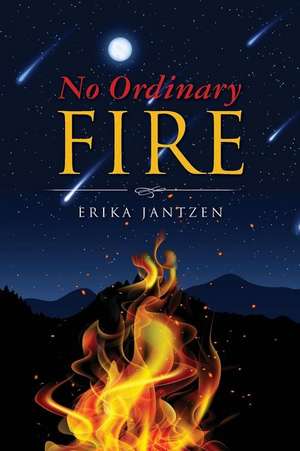 No Ordinary Fire de Erika Jantzen