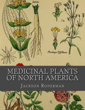 Medicinal Plants of North America de Jackson Roderman