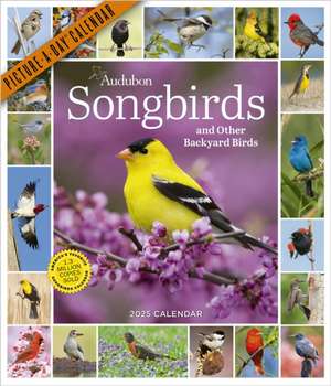 Audubon Songbirds and Other Backyard Birds Picture-A-Day(r) Wall Calendar 2025 de National Audubon Society