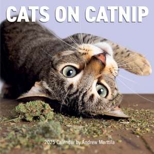 Cats on Catnip Wall Calendar 2025 de Andrew Marttila