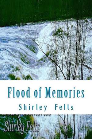 Flood of Memories de MS Shirley S. Felts