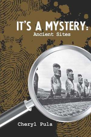 It's a Mystery de Cheryl Pula