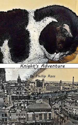 Knight's Adventure de Phillip Ross