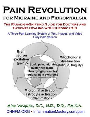 Pain Revolution for Migraine and Fibromyalgia (Discounted Printing) de Vasquez, Alex