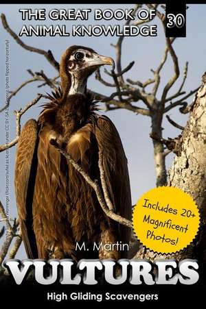 Vultures de M. Martin