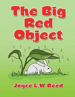 The Big Red Object de Joyce L. W Reed