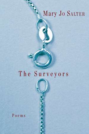 The Surveyors de Mary Jo Salter