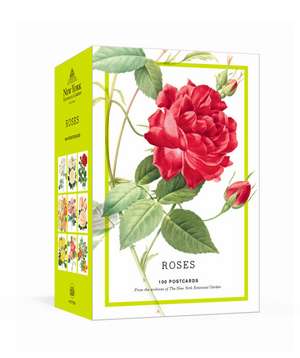 Roses de New The