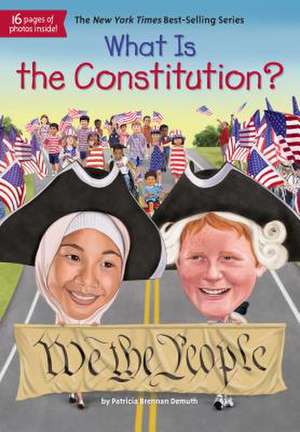 What Is the Constitution? de Patricia Brennan Demuth