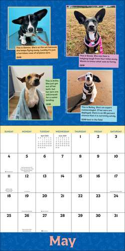 WeRateDogs 2025 Wall Calendar de Matt Nelson