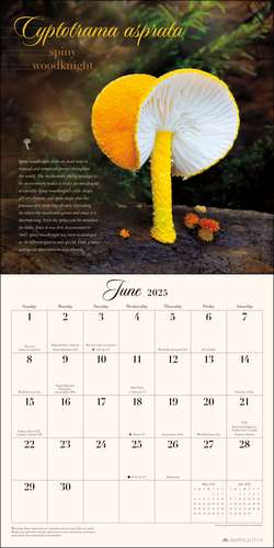 The Miraculous Mushroom 2025 Wall Calendar: With Fabulous Fungi Facts de Steve Axford