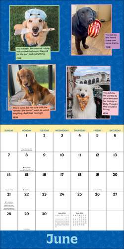 WeRateDogs 2026 Wall Calendar de Matt Nelson