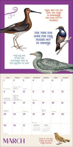 Effin' Birds 2026 Wall Calendar de Aaron Reynolds