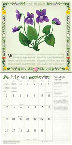 Kitchen Witch 2026 Wall Calendar: Healing Via the Magical Bounty of Mother Earth de Amber Lotus Publishing