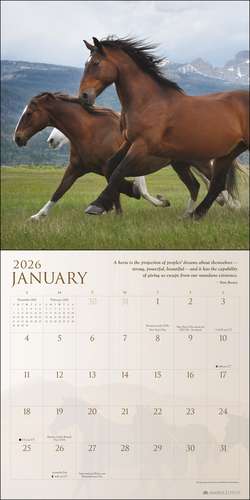 Spirit Horses 2026 Wall Calendar by Tony Stromberg de Tony Stromberg