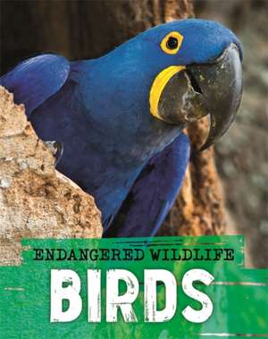 Endangered Wildlife: Rescuing Birds de Anita Ganeri