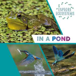 Explore Ecosystems: In a Pond de Sarah Ridley